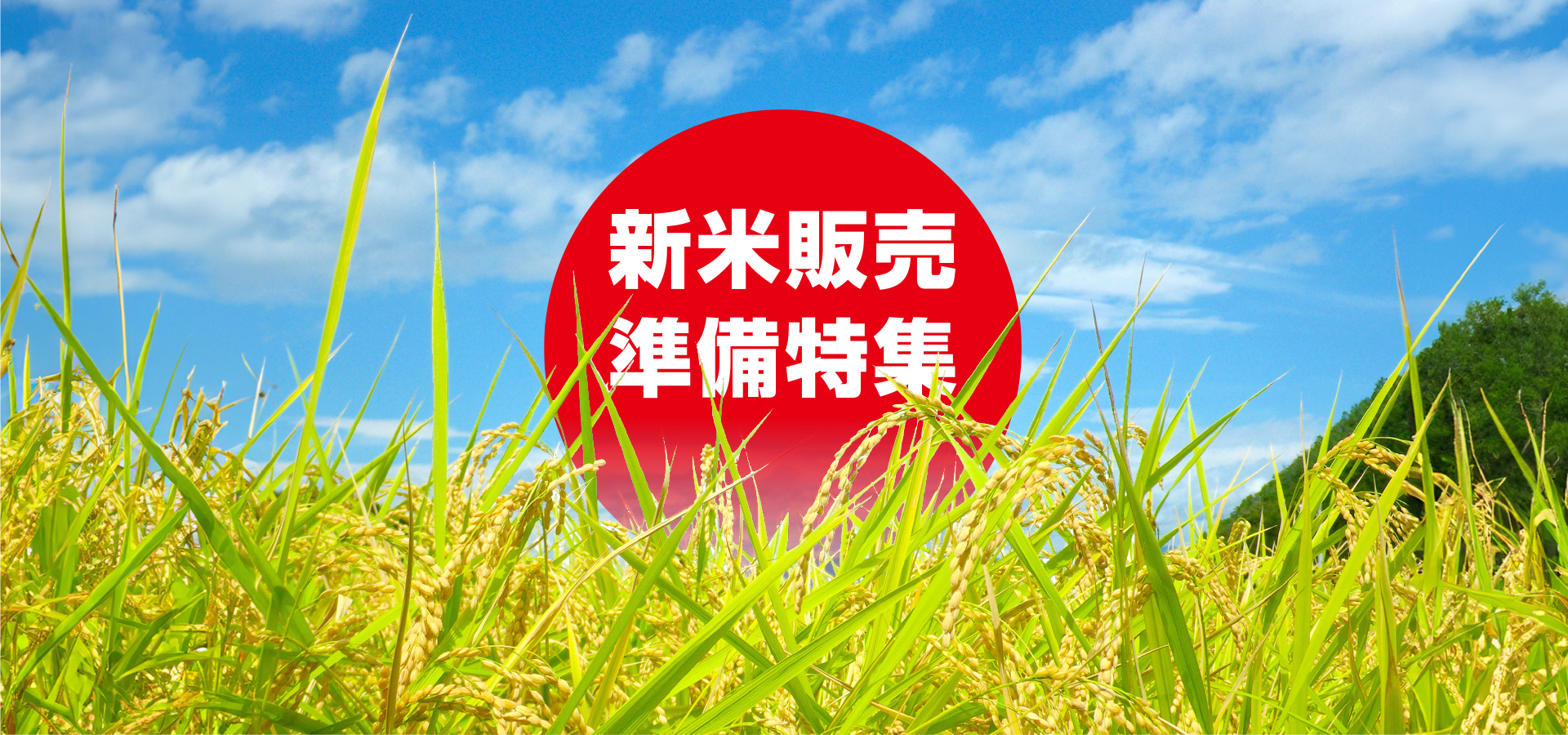 新米のご案内